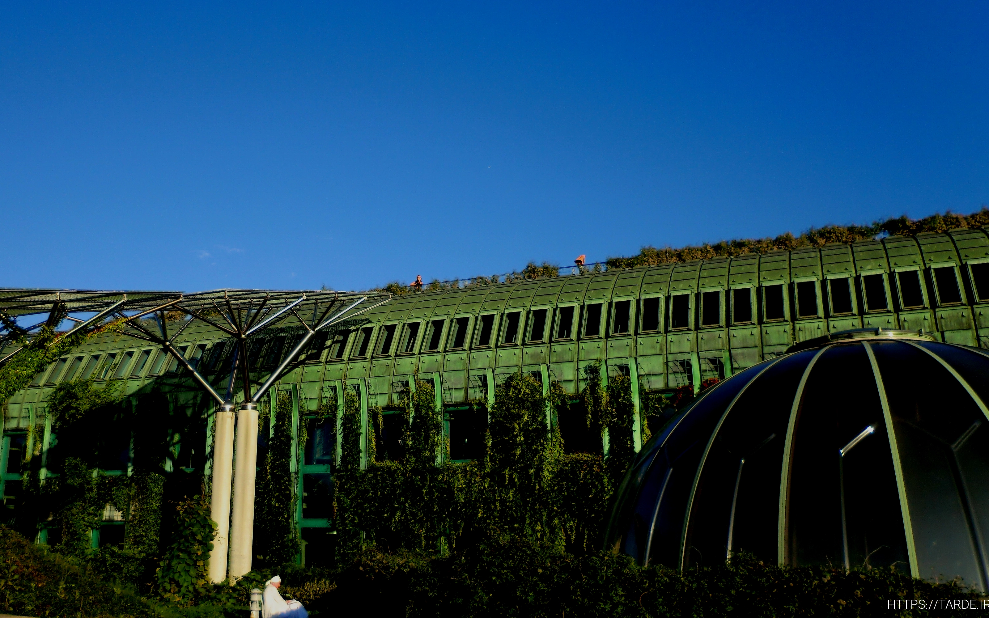 Roof garden